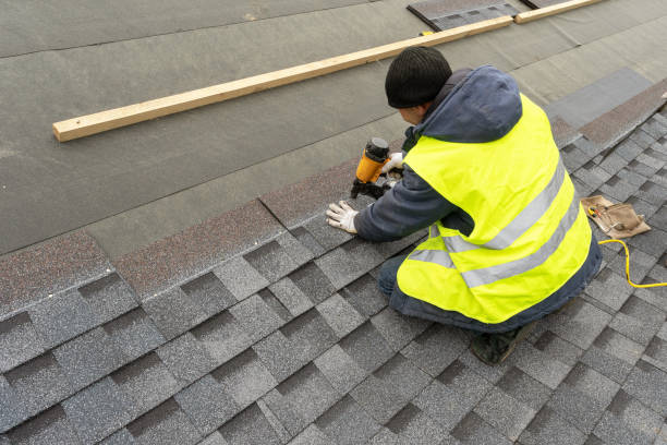 Best Roof Waterproofing Services  in Romulus, MI