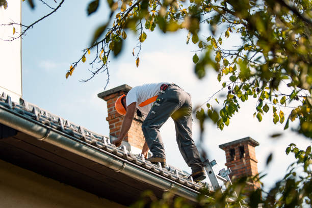 Trusted Romulus, MI Roofing Contractor Experts