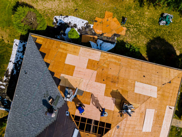 Best Roof Replacement Cost  in Romulus, MI