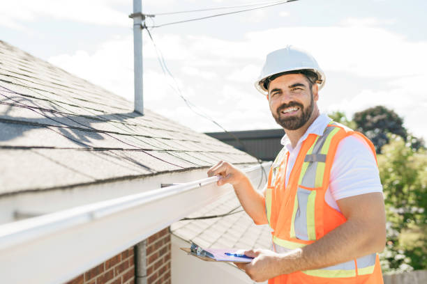 Best Roof Repair Services  in Romulus, MI