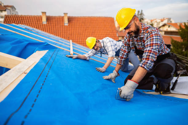 Best Metal Roofing Contractor  in Romulus, MI