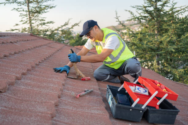 Best Best Roofing Contractors  in Romulus, MI