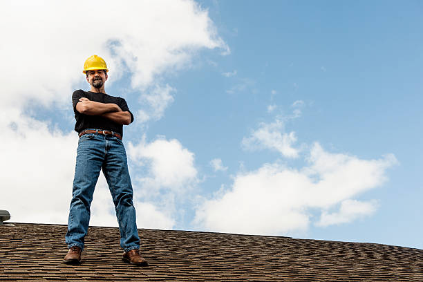 Best Shingle Roofing Installation  in Romulus, MI