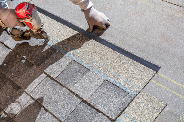 Best Roof Maintenance Services  in Romulus, MI